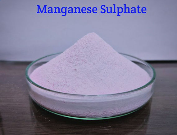 Manganese Sulphate